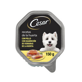 Cesar Recetas de la huerta Tarrina en Paté y Gelatina para Perros 